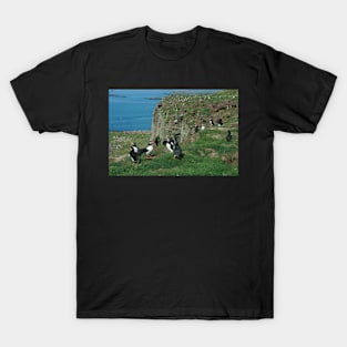 Puffins T-Shirt